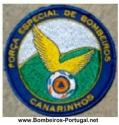 emblema da força especial bombeiros