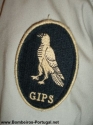 GPI's GNR