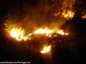 Incêndio Florestal na Silvã 23-10-2007 onde Estiveram as seguinte coorporações BV Pampilhosa BV Mealhada BV Cantanhede
