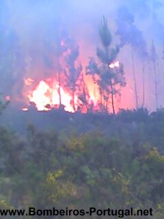 um dia de muito trabalho - 3