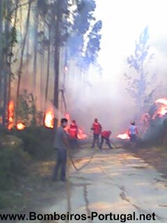 um dia de muito trabalho - 4