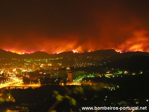 Incêndio em Coimbra 2005 - 1