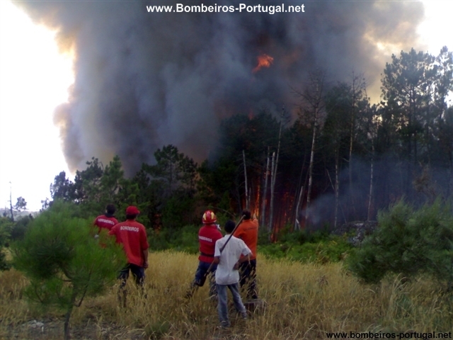 incendio em monteiras castro daire